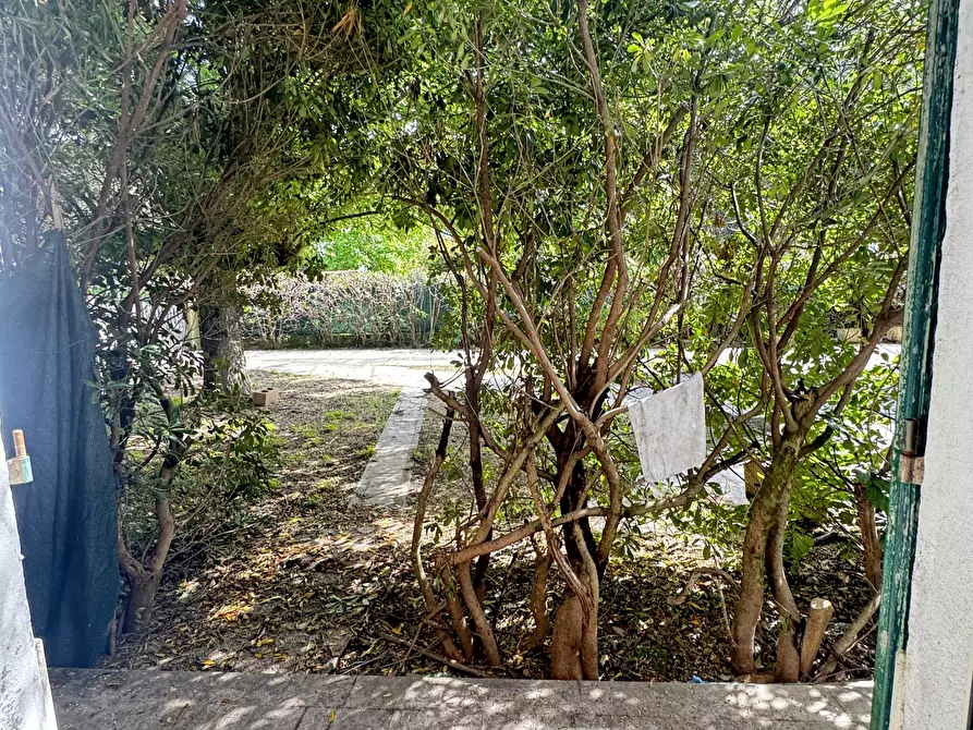 Immagine 58 di Porzione di casa in vendita  a Pietrasanta