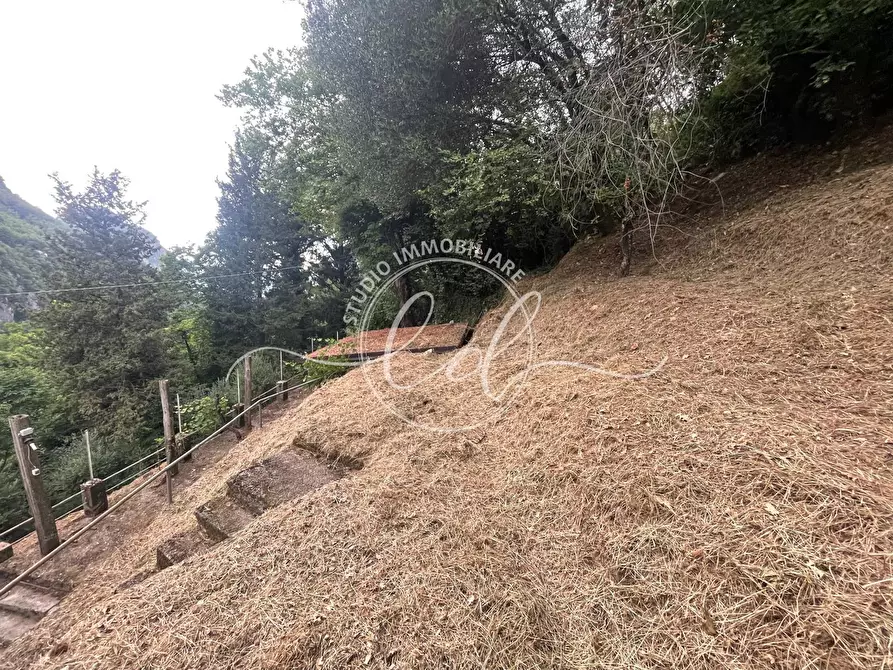 Immagine 43 di Porzione di casa in vendita  a Camaiore