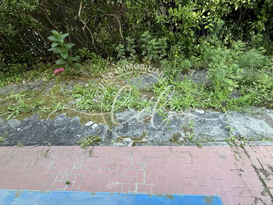 Immagine 25 di Quadrilocale in vendita  a Camaiore