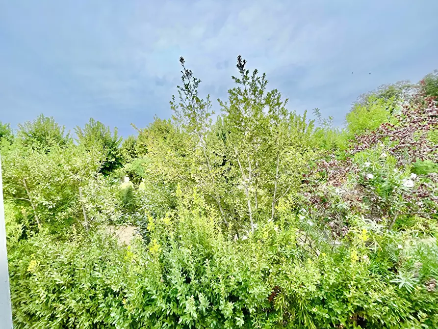 Immagine 8 di Porzione di casa in vendita  a Pietrasanta