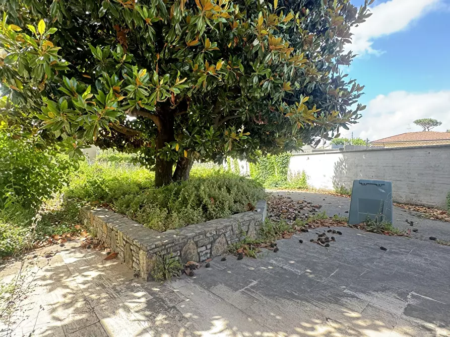 Immagine 14 di Porzione di casa in vendita  a Pietrasanta