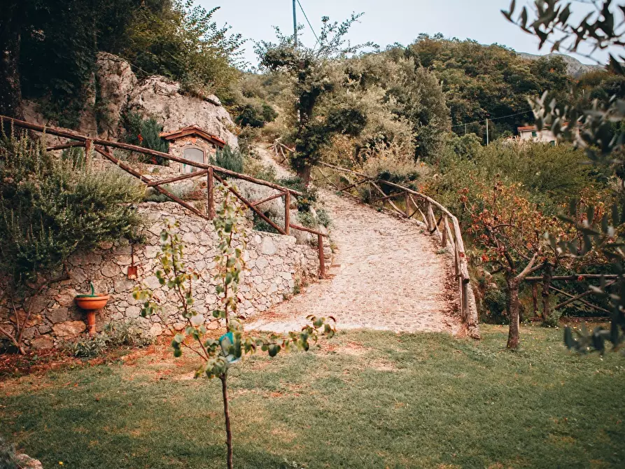 Immagine 36 di Rustico / casale in affitto  a Camaiore