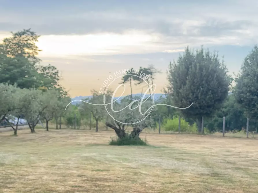 Immagine 26 di Terreno edificabile in vendita  a Ortonovo