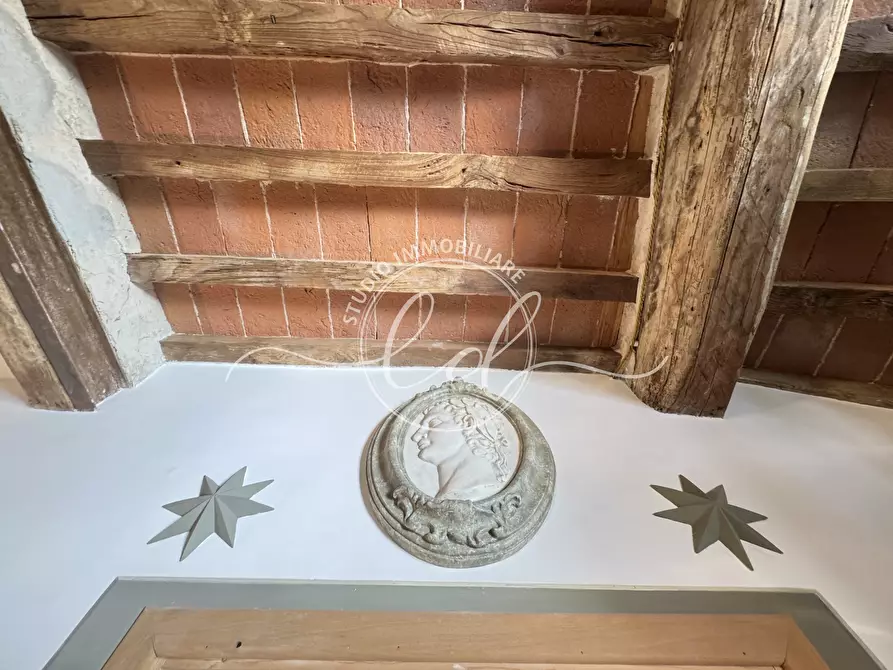 Immagine 21 di Trilocale in affitto  a Pietrasanta