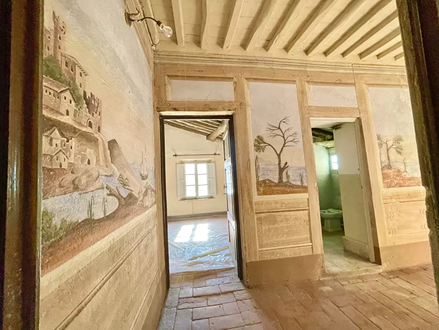 Immagine 12 di Porzione di casa in vendita  a Camaiore