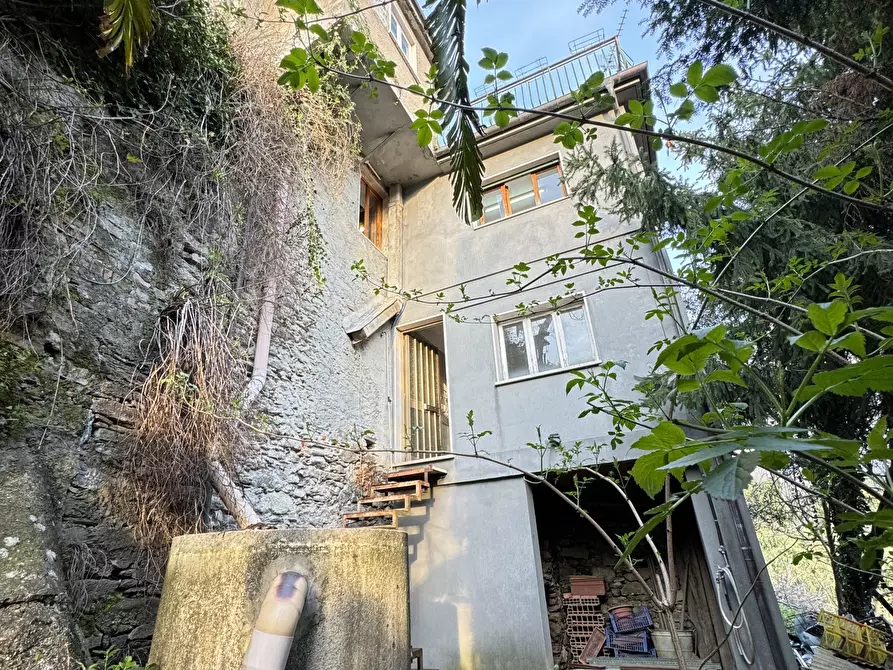 Immagine 38 di Terratetto in vendita  a Stazzema