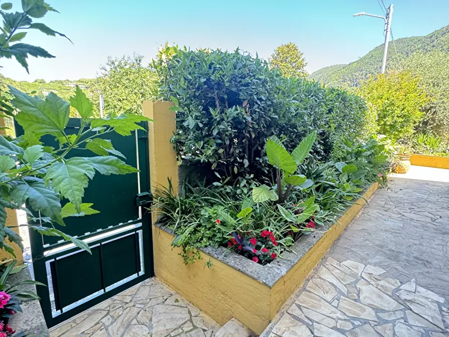 Immagine 7 di Porzione di casa in vendita  a Massa