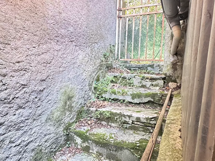 Immagine 40 di Terratetto in vendita  a Pietrasanta