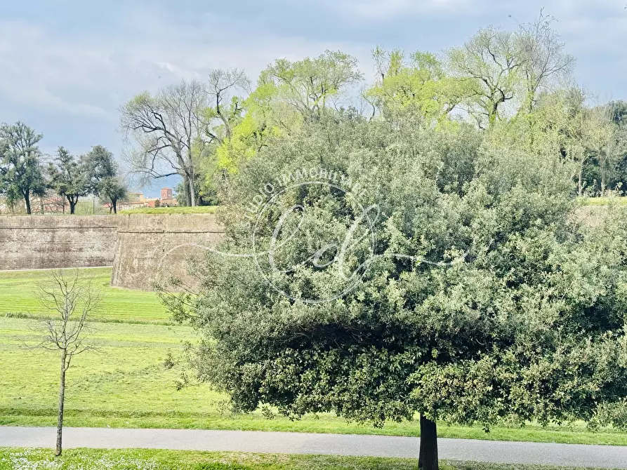 Immagine 70 di Pentalocale in vendita  a Lucca