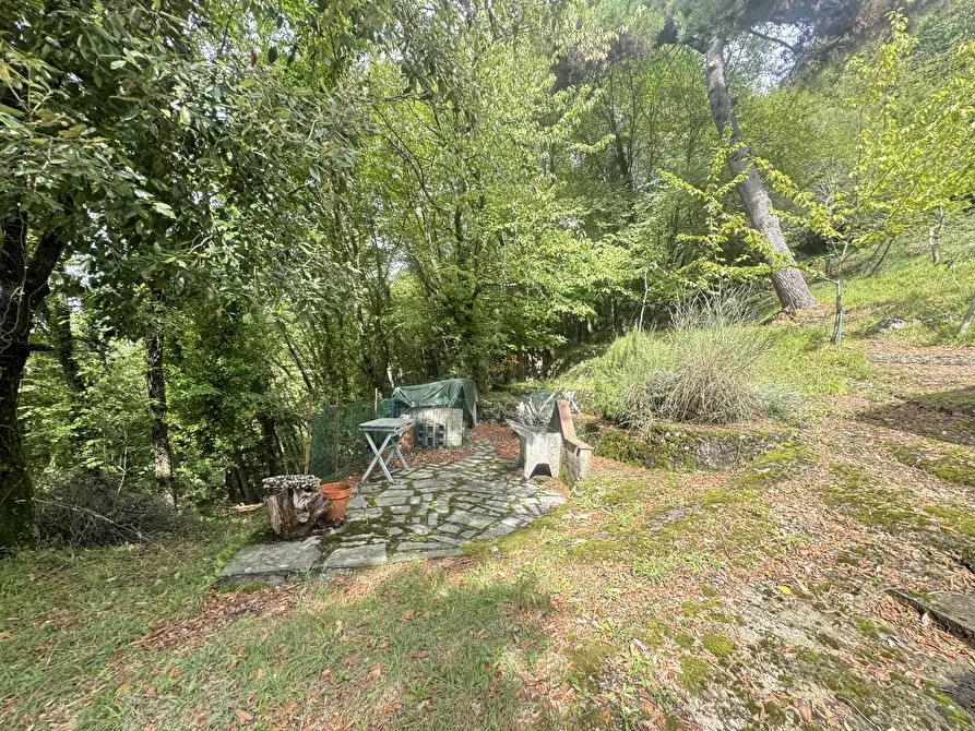 Immagine 32 di Rustico / casale in vendita  a Pietrasanta