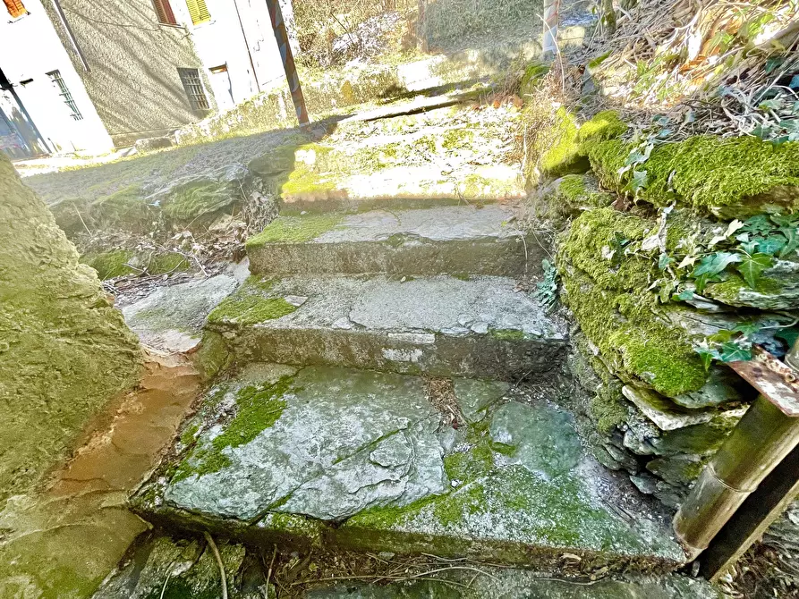 Immagine 73 di Casa bifamiliare in vendita  a Stazzema