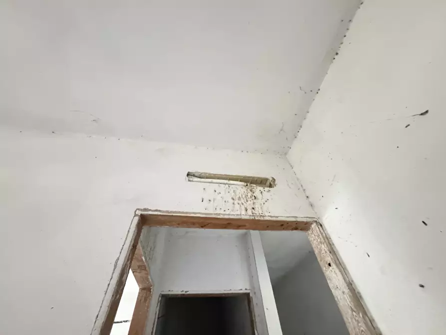 Immagine 25 di Porzione di casa in vendita  a Camaiore