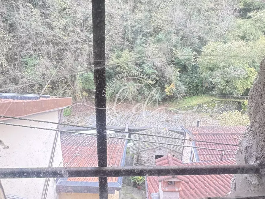 Immagine 45 di Porzione di casa in vendita  a Stazzema