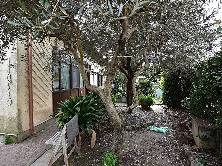 Immagine 4 di Casa indipendente in vendita  a Pietrasanta