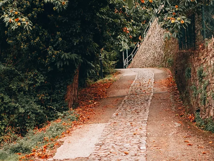 Immagine 45 di Rustico / casale in affitto  a Camaiore