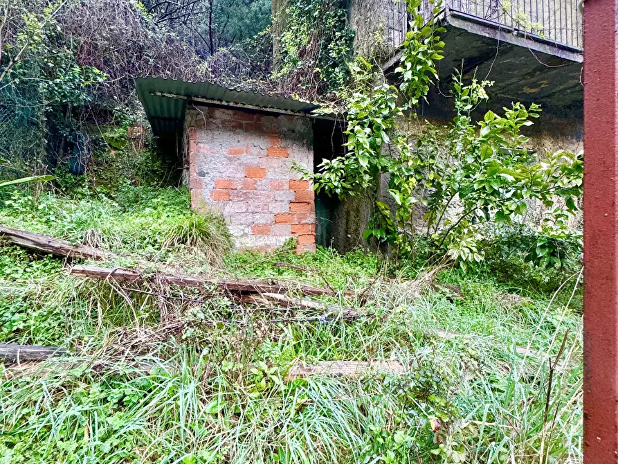 Immagine 38 di Terratetto in vendita  a Seravezza