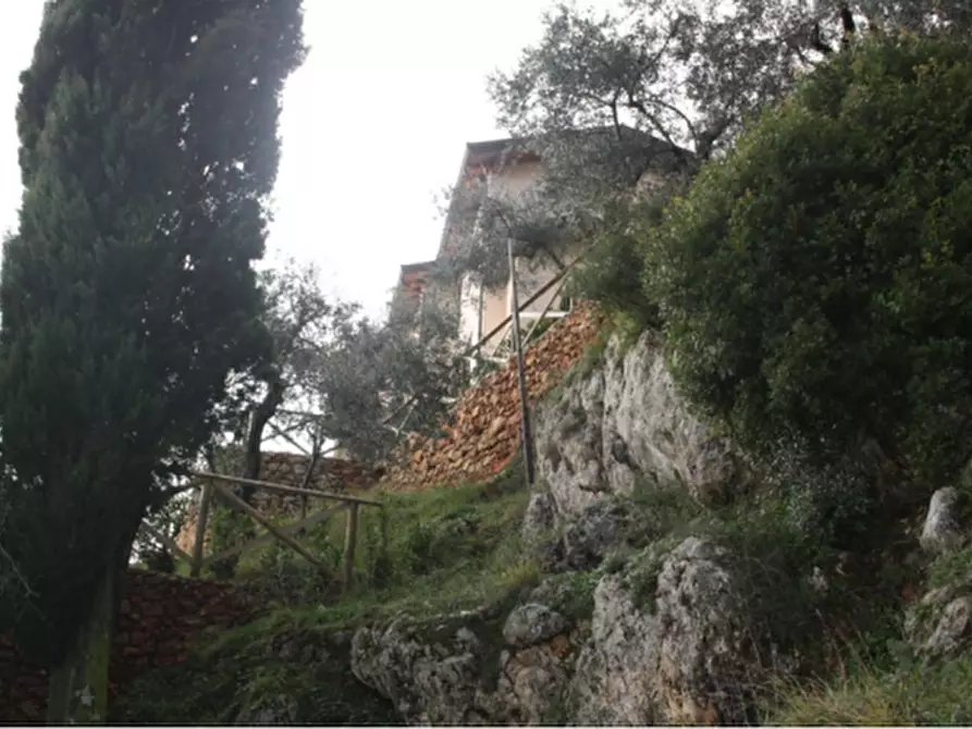 Immagine 10 di Villa in vendita  a Pietrasanta