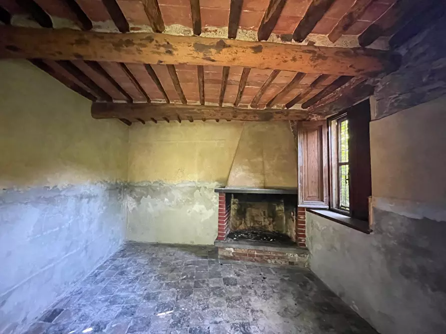 Immagine 14 di Rustico / casale in vendita  a Camaiore