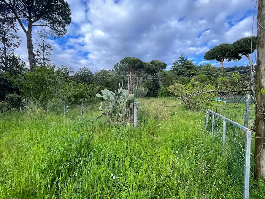 Immagine 4 di Casa indipendente in vendita  a Pietrasanta