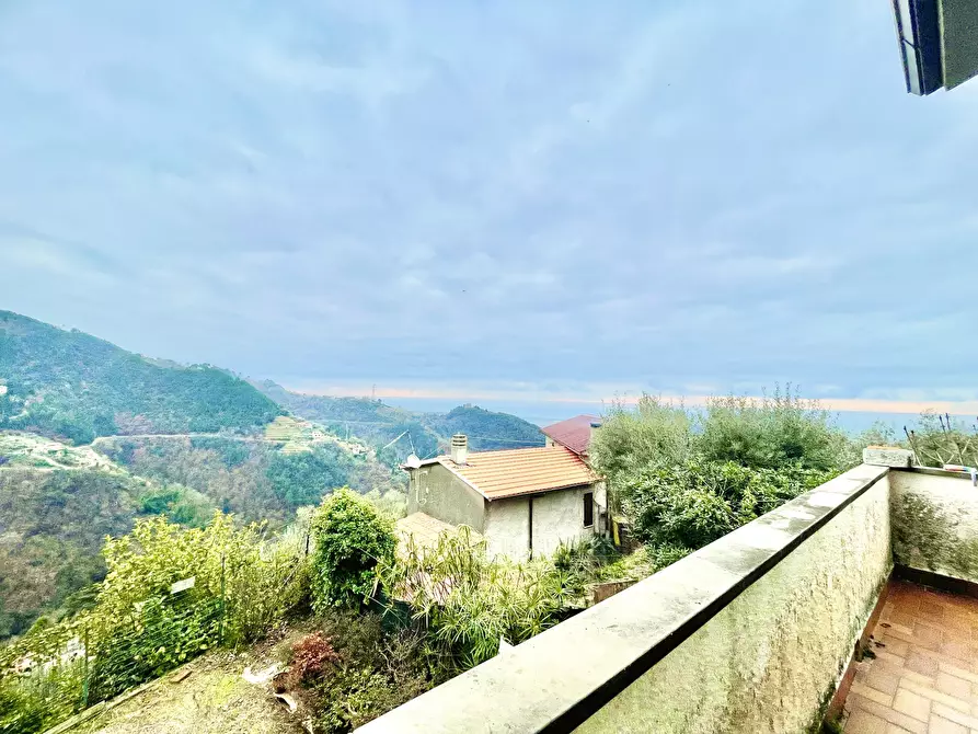 Immagine 18 di Casa indipendente in vendita  a Montignoso