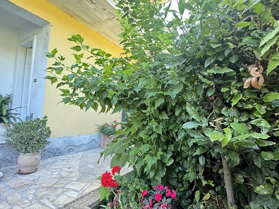 Immagine 62 di Porzione di casa in vendita  a Massa