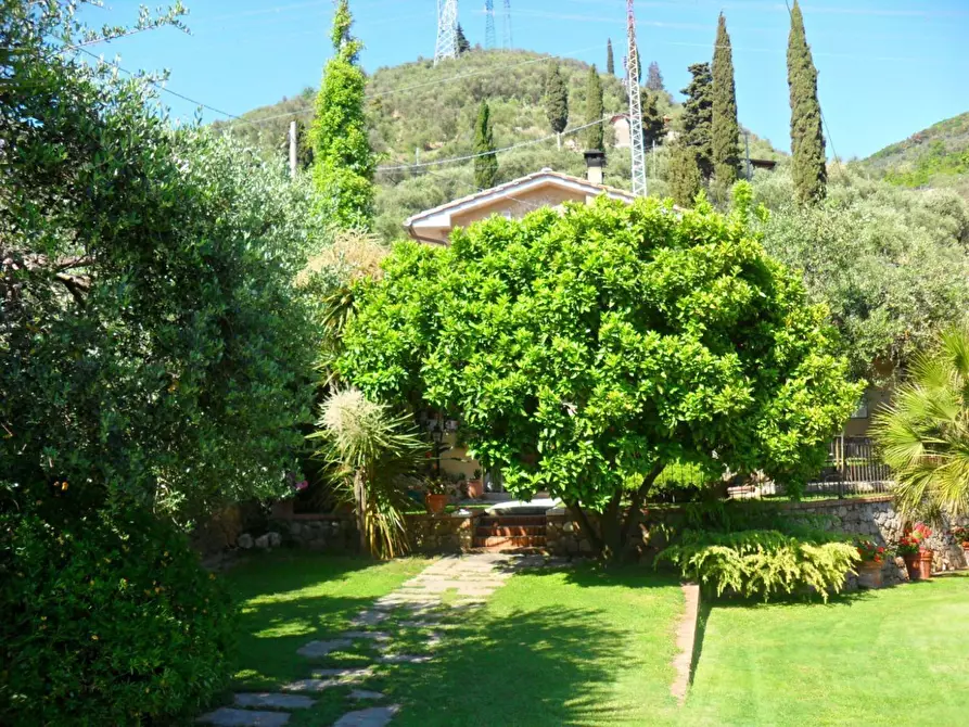 Immagine 9 di Casa indipendente in affitto  a Pietrasanta