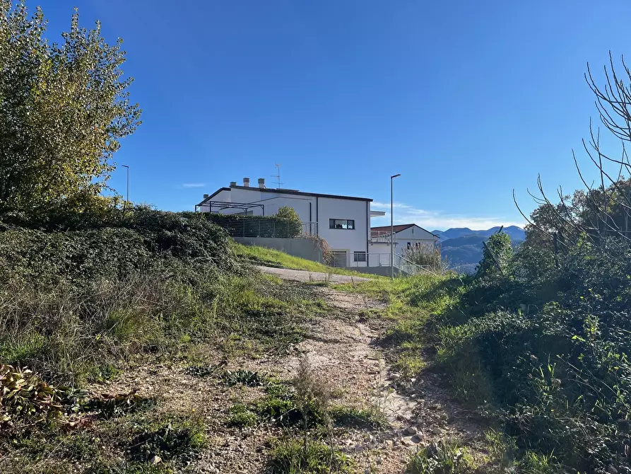 Immagine 1 di Terreno agricolo in vendita  in Via delle Mele a Segni