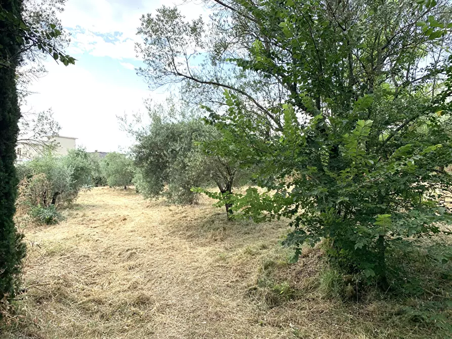 Immagine 16 di Terreno agricolo in vendita  in Via San Giorgetto a Anagni