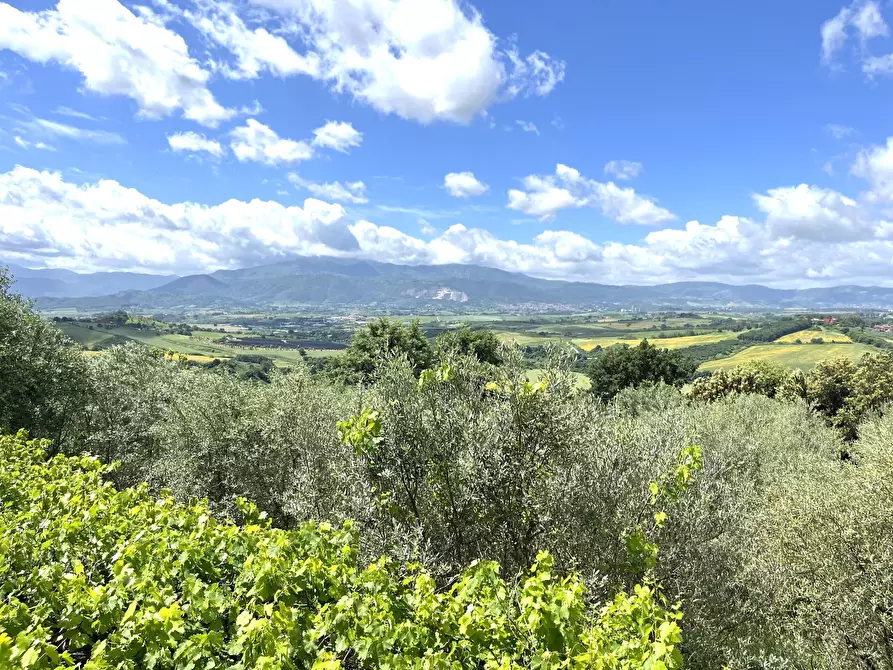 Immagine 38 di Villa in vendita  in Contrada Zancati Nuovo a Paliano