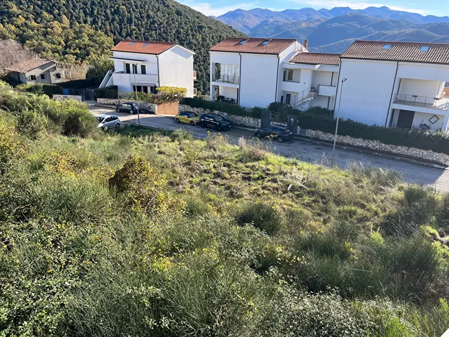 Immagine 11 di Terreno agricolo in vendita  in Via delle Mele a Segni