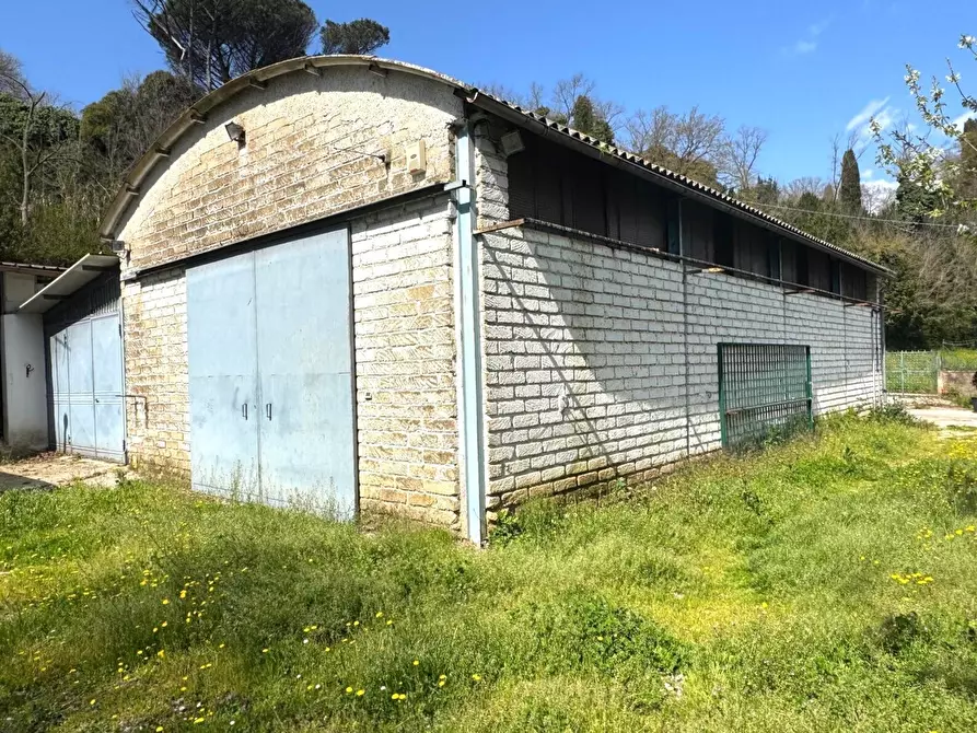 Immagine 3 di Locale commerciale in vendita  in Via Santa Apollaria a Zagarolo