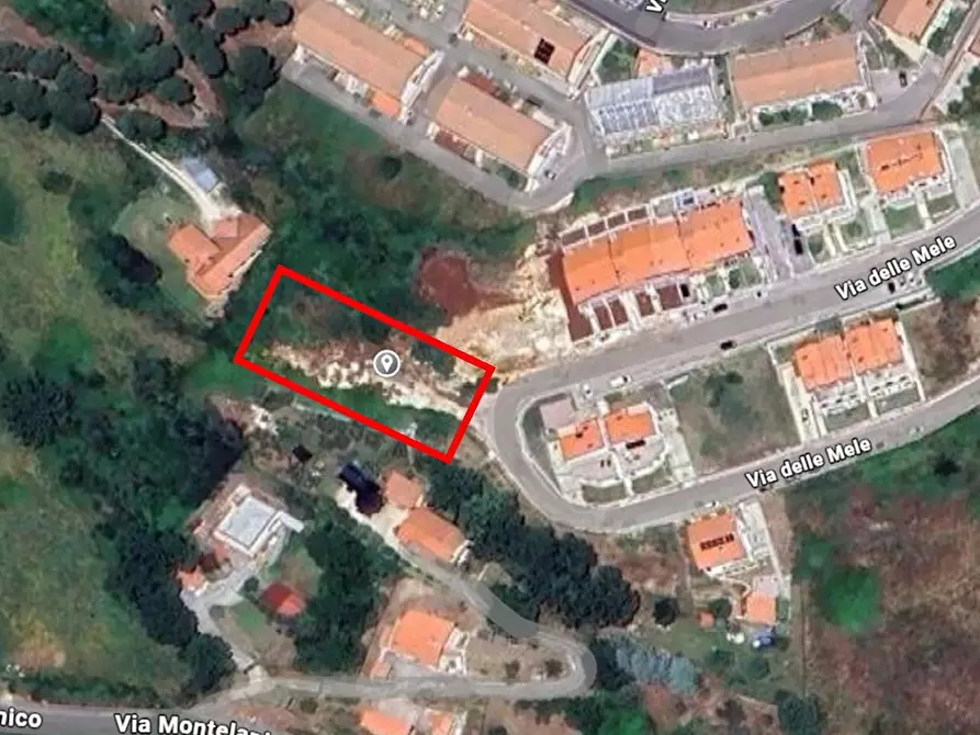 Immagine 6 di Terreno agricolo in vendita  in Via delle Mele a Segni