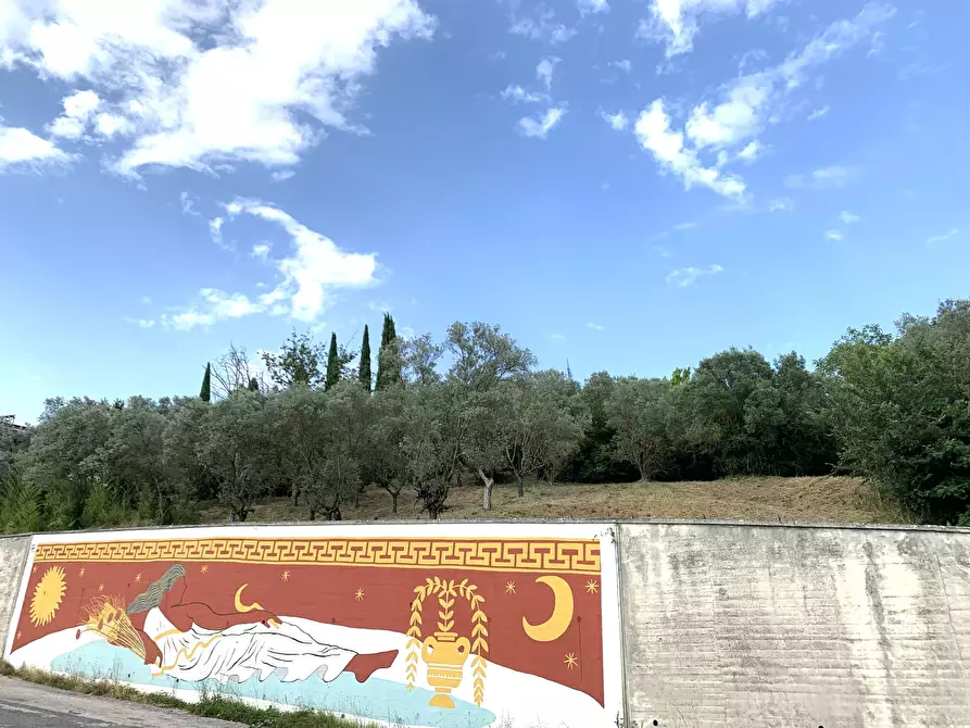 Immagine 7 di Terreno agricolo in vendita  in Via San Giorgetto a Anagni