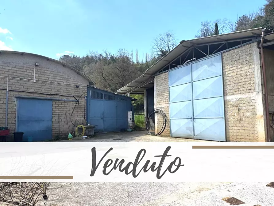 Immagine 1 di Locale commerciale in vendita  in Via Santa Apollaria a Zagarolo