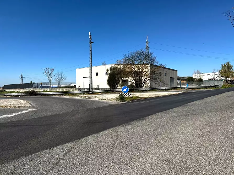 Immagine 21 di Attività artigianale in vendita  in SP12 56/a a Anagni