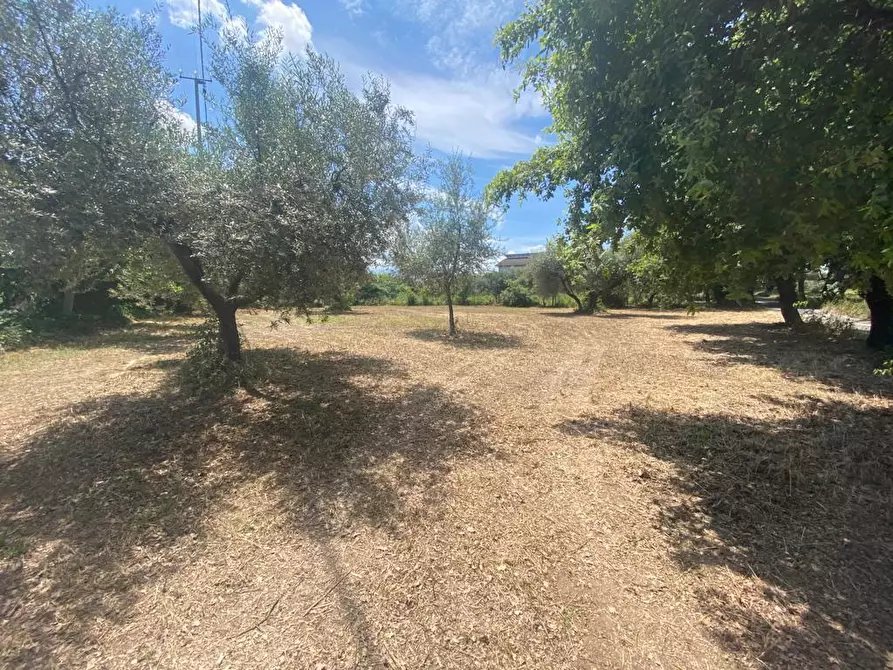 Immagine 3 di Terreno industriale in vendita  in Via Querceto a Cepagatti