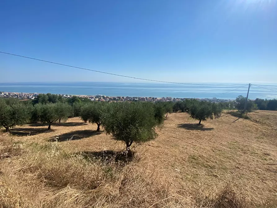 Immagine 15 di Porzione di casa in vendita  in Contrada Stagliano a Silvi
