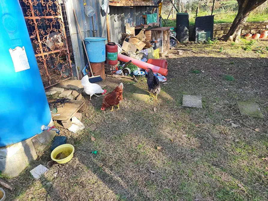 Immagine 10 di Terreno agricolo in vendita  in Via Colle di Mitriano a Guidonia Montecelio