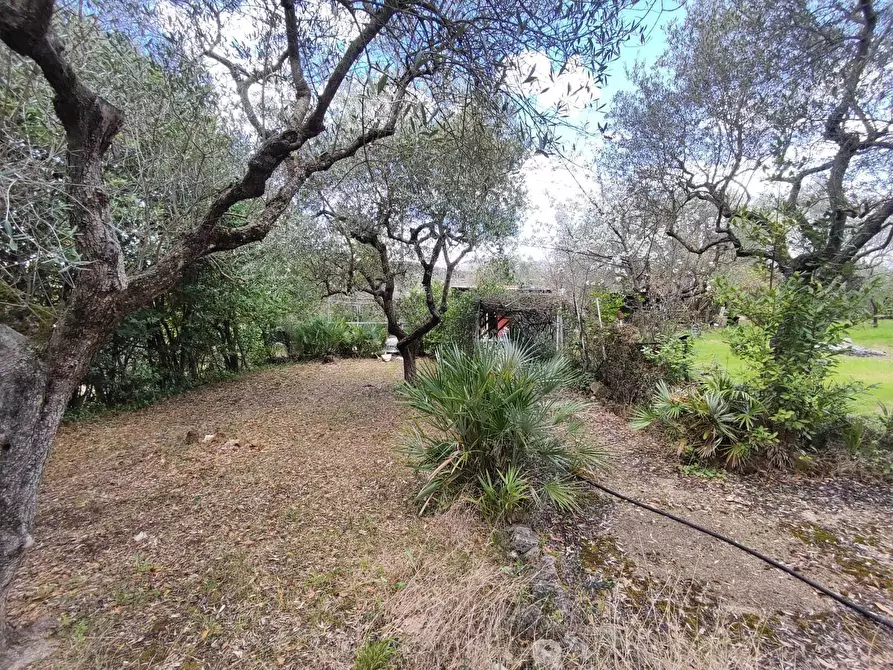 Immagine 12 di Terreno agricolo in vendita  in Via Dello Scalo Ferroviario 12 a Marcellina