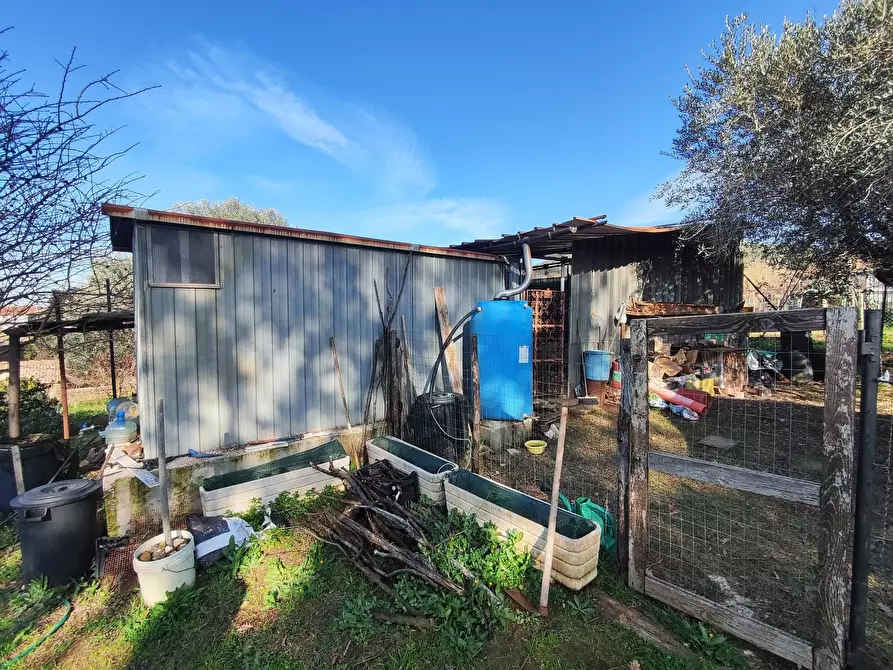 Immagine 7 di Terreno agricolo in vendita  in Via Colle di Mitriano a Guidonia Montecelio