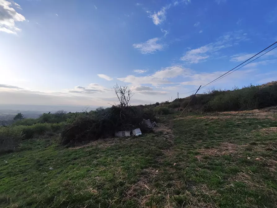Immagine 3 di Terreno agricolo in vendita  in SP53a 53 a Tivoli