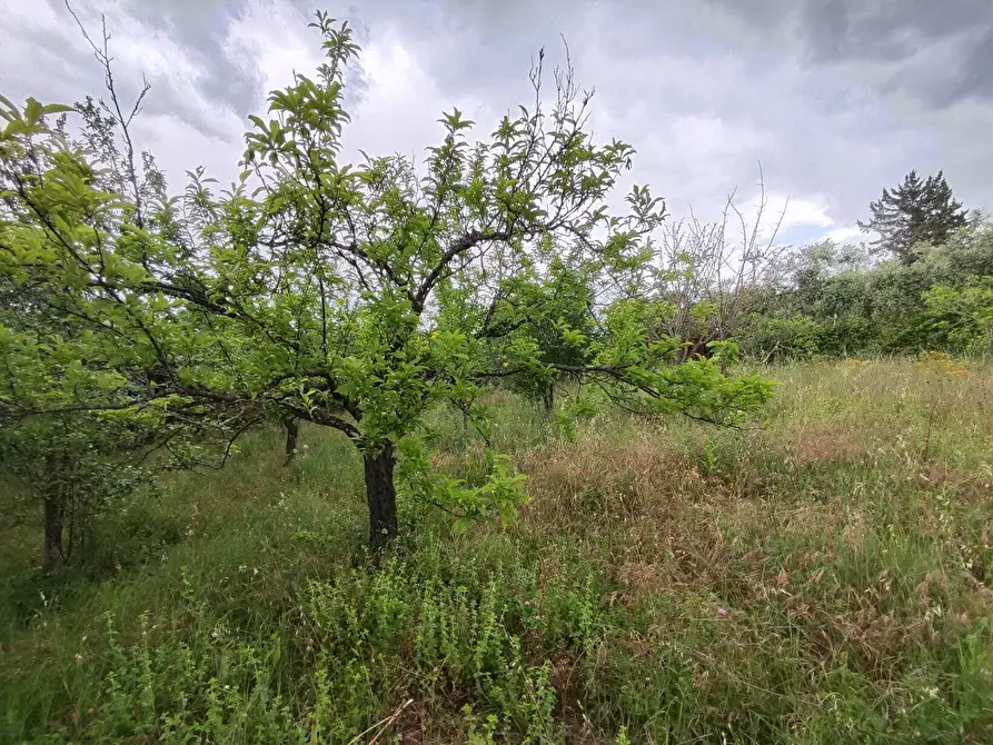Immagine 8 di Terreno agricolo in vendita  in Via Colle Rosa a Tivoli
