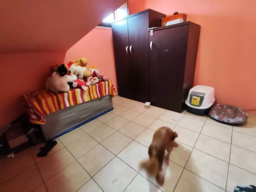 Immagine 13 di Trilocale in vendita  in Via Daniele Manin 3 a Guidonia Montecelio