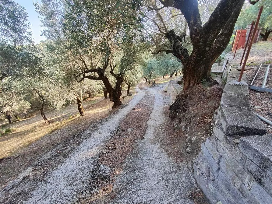 Immagine 25 di Terreno agricolo in vendita  in via caolini a Marcellina