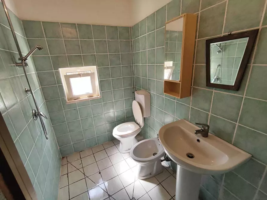 Immagine 23 di Terreno agricolo in vendita  in Via Dello Scalo Ferroviario 12 a Marcellina