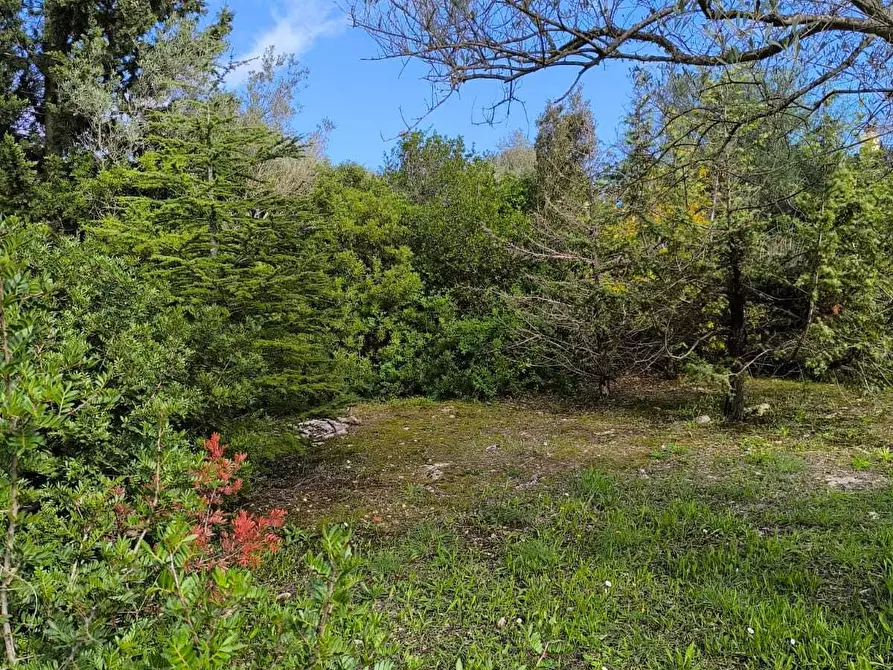 Immagine 34 di Villa in vendita  in Strada Vicinale Li Curuneddi Tronco B a Sassari