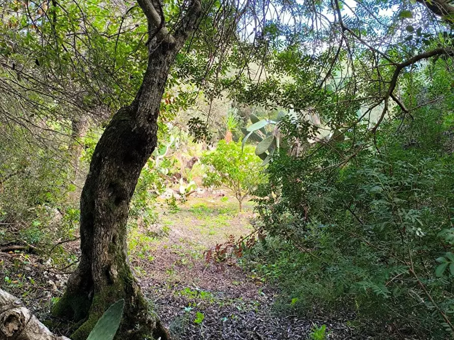 Immagine 27 di Villa in vendita  in Strada Vicinale Li Curuneddi Tronco B a Sassari