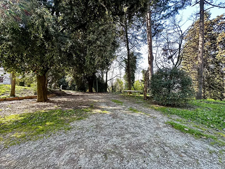 Immagine 15 di Rustico / casale in vendita  in Via Vicinale Santa Lucia a Cesena