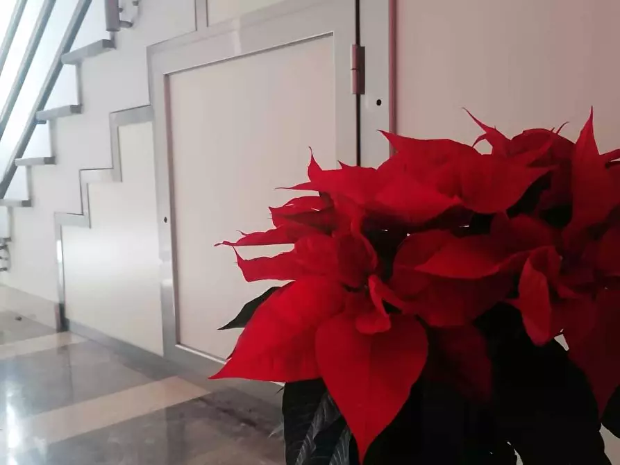 Immagine 19 di Trilocale in vendita  a Palermo