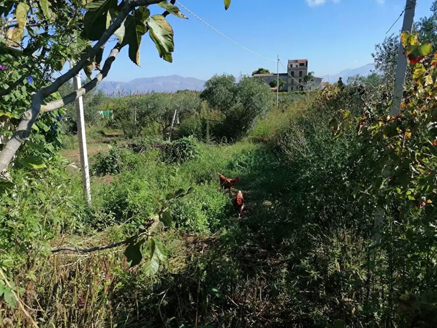 Immagine 28 di Rustico / casale in vendita  a Partinico
